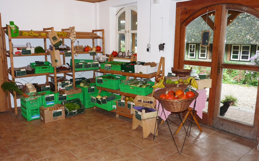 Ein buntes Sortiment an frischen Obst und Gem&uuml;se